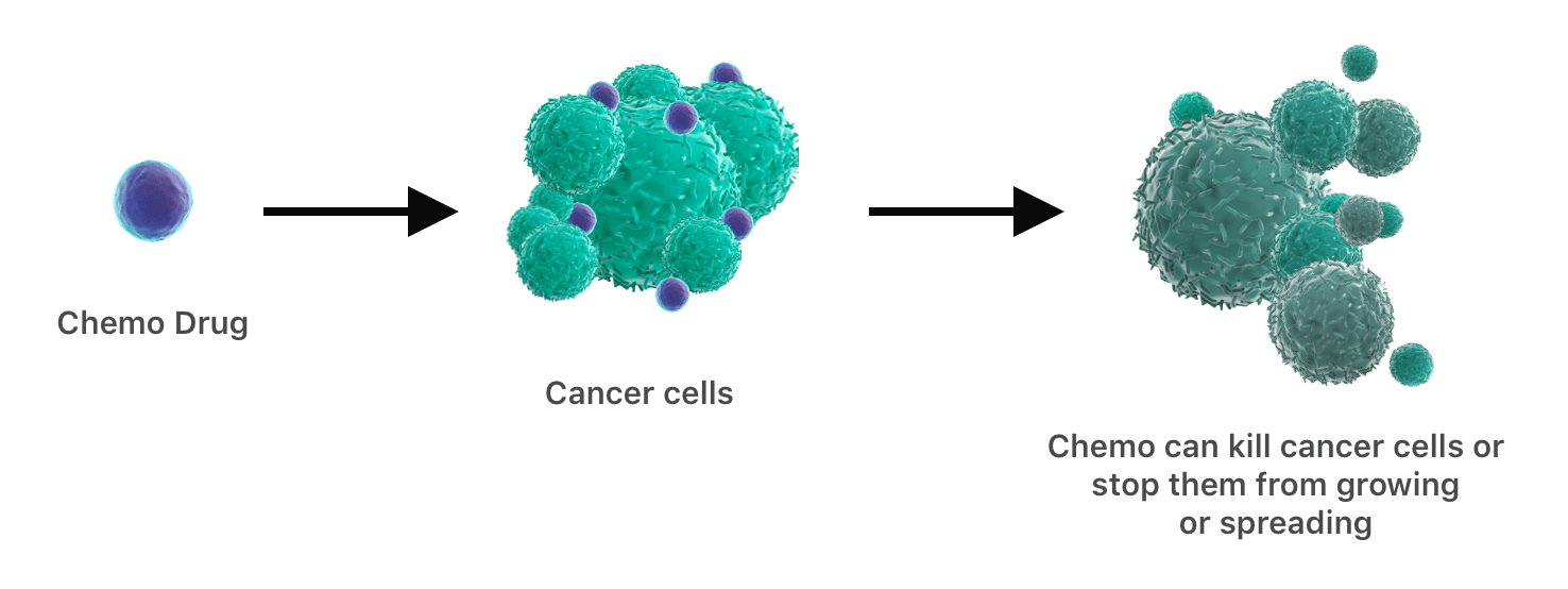 how chemotherapy works