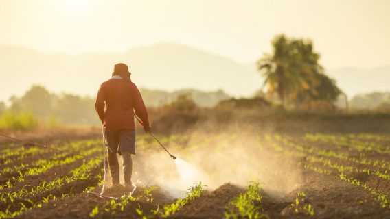 Farmer spraying crops