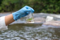 Person testing for water contamination