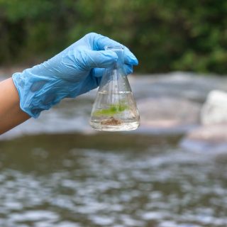 Person testing for water contamination