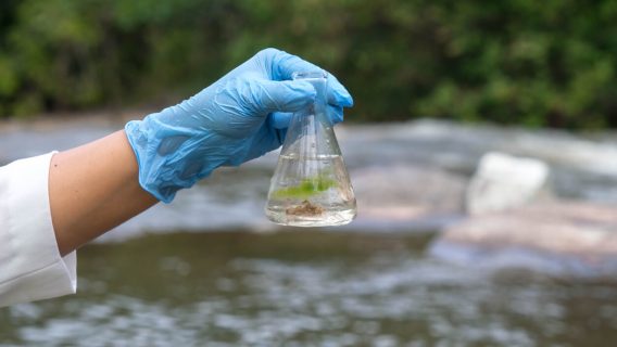 Person testing for water contamination