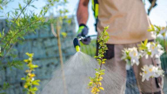 Roundup weedkiller facing lawsuits